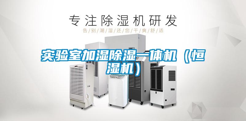 實(shí)驗室加濕除濕一體機（恒濕機）