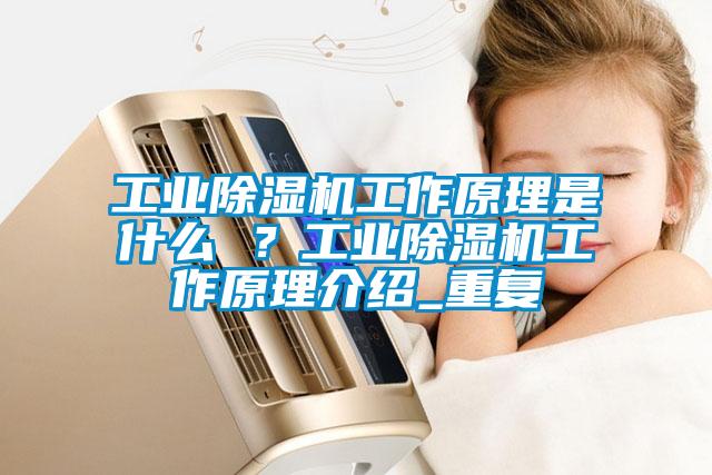 工業(yè)除濕機工作原理是什么 ？工業(yè)除濕機工作原理介紹_重復