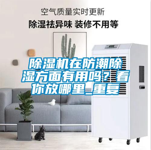 除濕機在防潮除濕方面有用嗎？看你放哪里_重復