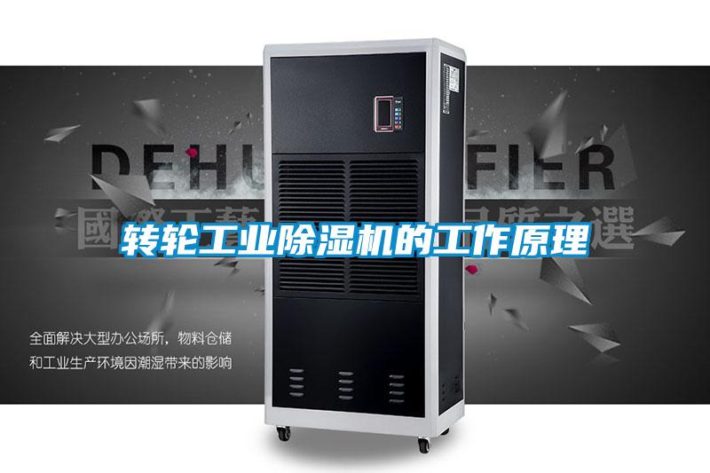 轉輪工業(yè)除濕機的工作原理