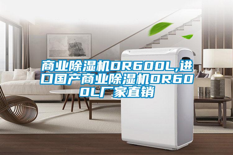 商業(yè)除濕機DR600L,進(jìn)口國產(chǎn)商業(yè)除濕機DR600L廠(chǎng)家直銷(xiāo)