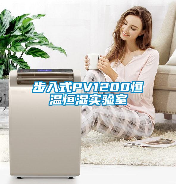 步入式PV1200恒溫恒濕實(shí)驗室