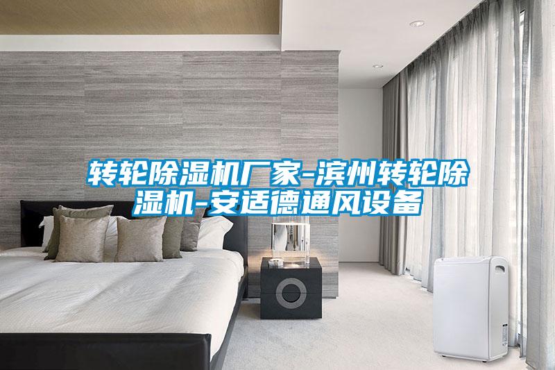 轉輪除濕機廠(chǎng)家-濱州轉輪除濕機-安適德通風(fēng)設備