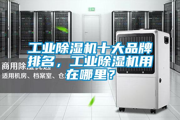 工業(yè)除濕機十大品牌排名，工業(yè)除濕機用在哪里？