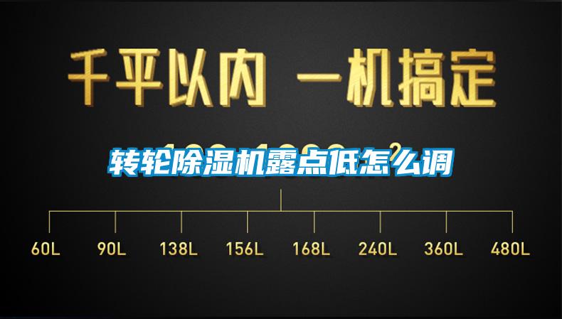 轉輪除濕機露點(diǎn)低怎么調