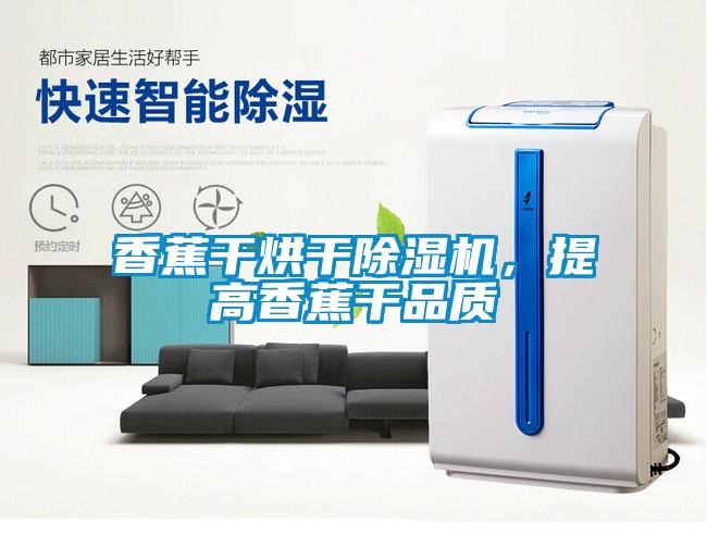香蕉干烘干除濕機，提高香蕉干品質(zhì)