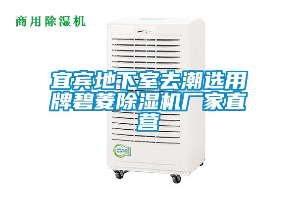 宜賓地下室去潮選用牌碧菱除濕機廠(chǎng)家直營(yíng)