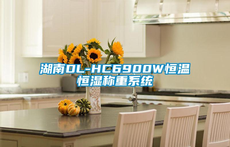 湖南DL-HC6900W恒溫恒濕稱(chēng)重系統