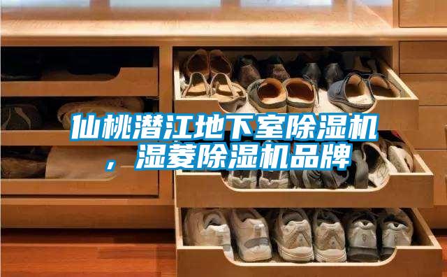 仙桃潛江地下室除濕機，濕菱除濕機品牌