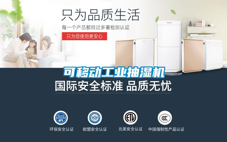 可移動(dòng)工業(yè)抽濕機