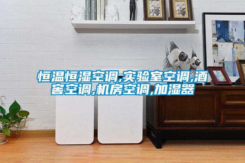 恒溫恒濕空調,實(shí)驗室空調,酒窖空調,機房空調,加濕器