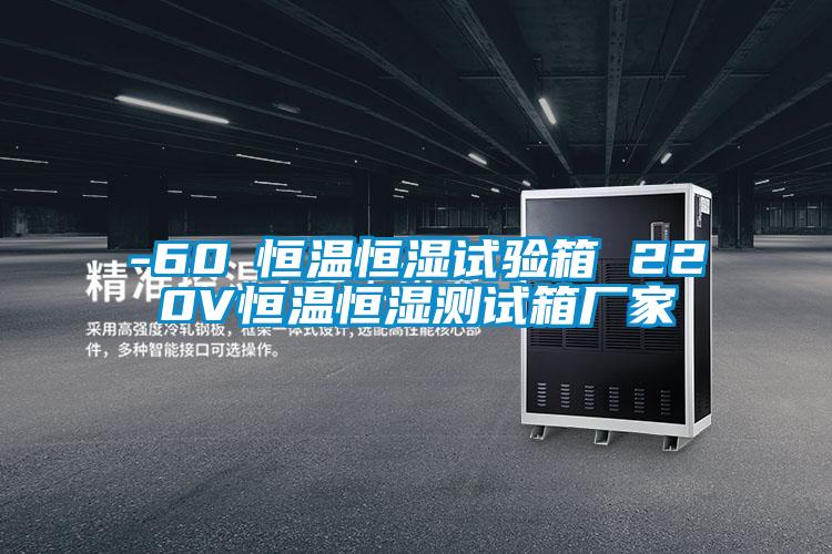 -60℃恒溫恒濕試驗箱 220V恒溫恒濕測試箱廠(chǎng)家