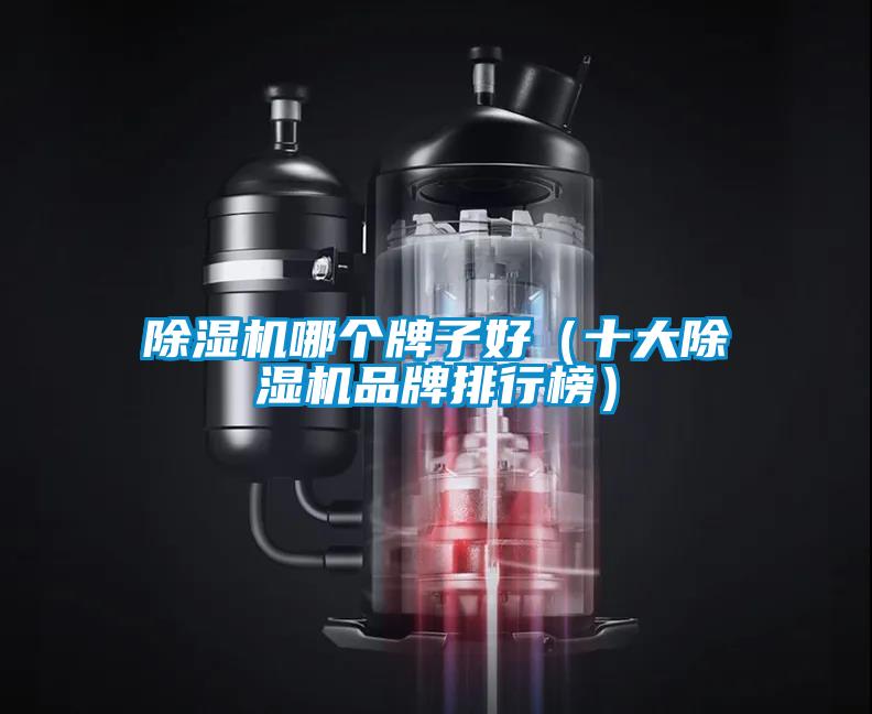 除濕機哪個(gè)牌子好（十大除濕機品牌排行榜）