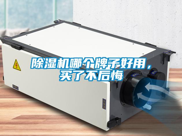 除濕機哪個(gè)牌子好用，買(mǎi)了不后悔