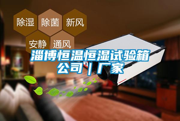 淄博恒溫恒濕試驗箱公司｜廠(chǎng)家