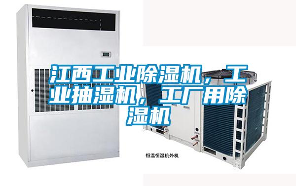 江西工業(yè)除濕機，工業(yè)抽濕機，工廠(chǎng)用除濕機