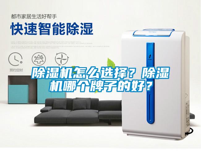 除濕機怎么選擇？除濕機哪個(gè)牌子的好？