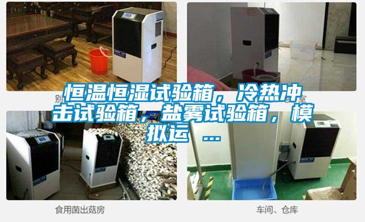 恒溫恒濕試驗箱，冷熱沖擊試驗箱，鹽霧試驗箱，模擬運 ...