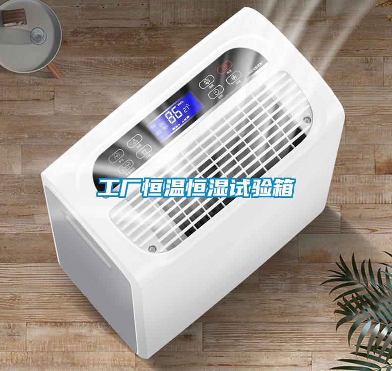 工廠(chǎng)恒溫恒濕試驗箱