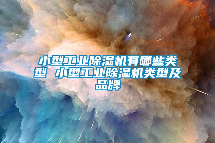 小型工業(yè)除濕機有哪些類(lèi)型 小型工業(yè)除濕機類(lèi)型及品牌
