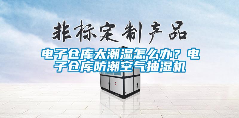 電子倉庫太潮濕怎么辦？電子倉庫防潮空氣抽濕機
