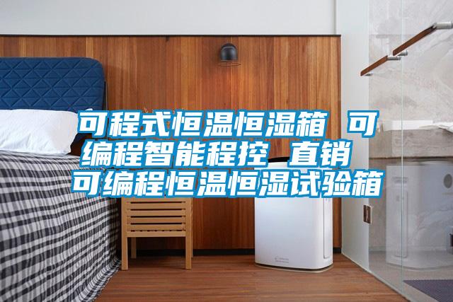 可程式恒溫恒濕箱 可編程智能程控 直銷(xiāo) 可編程恒溫恒濕試驗箱