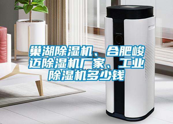 巢湖除濕機、合肥峻邁除濕機廠(chǎng)家、工業(yè)除濕機多少錢(qián)