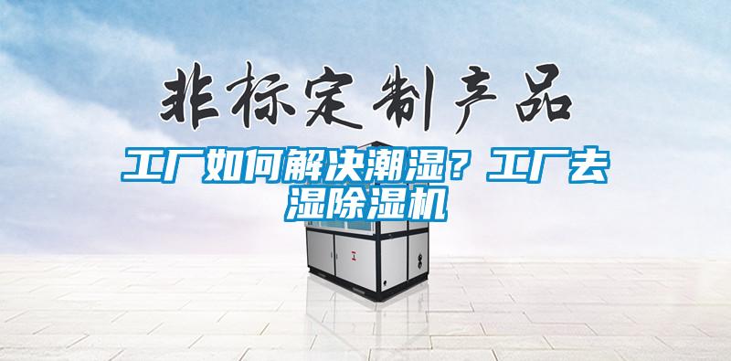 工廠(chǎng)如何解決潮濕？工廠(chǎng)去濕除濕機