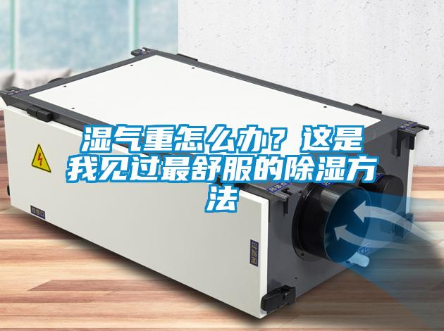 濕氣重怎么辦？這是我見(jiàn)過(guò)最舒服的除濕方法