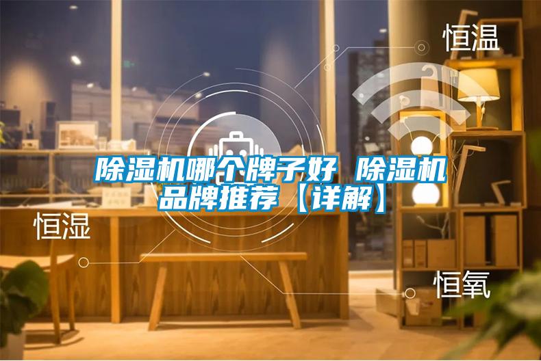 除濕機哪個(gè)牌子好 除濕機品牌推薦【詳解】