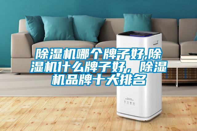 除濕機哪個(gè)牌子好,除濕機什么牌子好，除濕機品牌十大排名