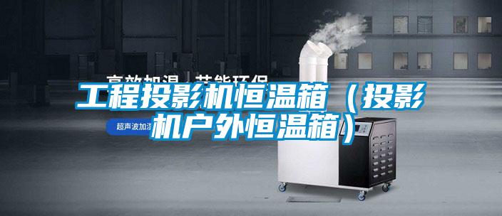 工程投影機恒溫箱（投影機戶(hù)外恒溫箱）