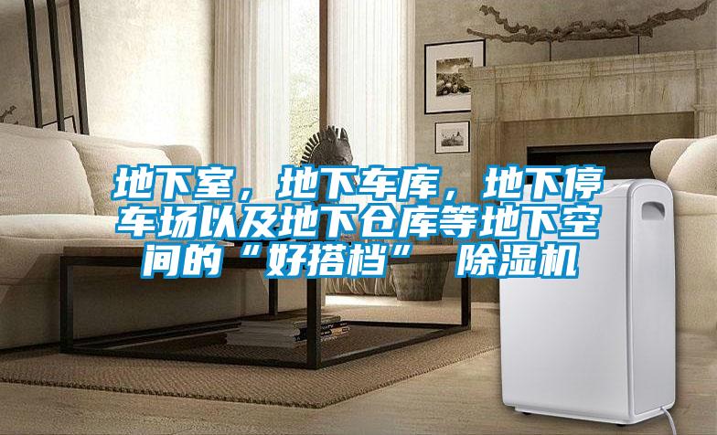 地下室，地下車(chē)庫，地下停車(chē)場(chǎng)以及地下倉庫等地下空間的“好搭檔” 除濕機