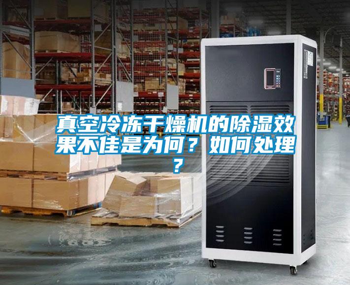 真空冷凍干燥機的除濕效果不佳是為何？如何處理？