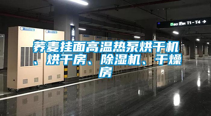 蕎麥掛面高溫熱泵烘干機、烘干房、除濕機、干燥房