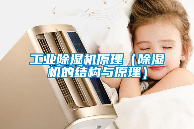 工業(yè)除濕機原理（除濕機的結構與原理）