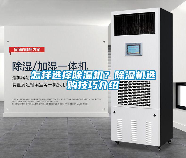怎樣選擇除濕機？除濕機選購技巧介紹