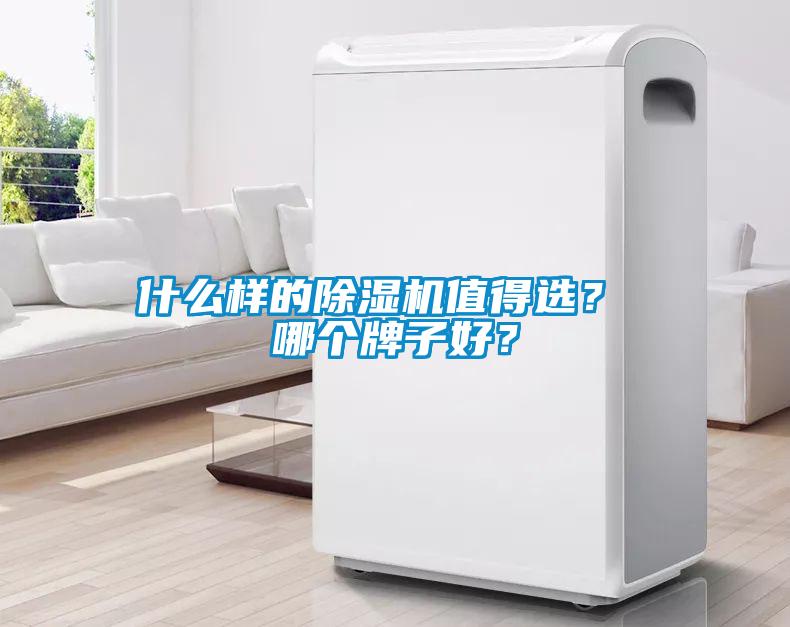 什么樣的除濕機值得選？ 哪個(gè)牌子好？