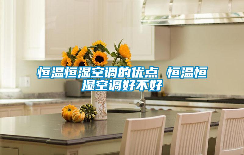 恒溫恒濕空調的優(yōu)點(diǎn) 恒溫恒濕空調好不好