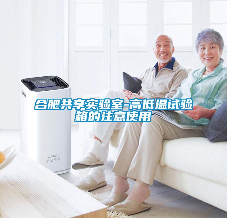 合肥共享實(shí)驗室-高低溫試驗箱的注意使用
