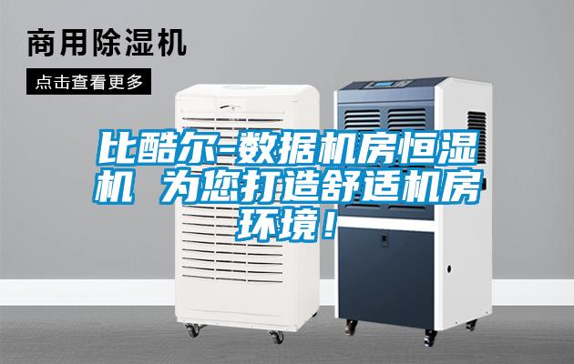 比酷爾-數據機房恒濕機 為您打造舒適機房環(huán)境！