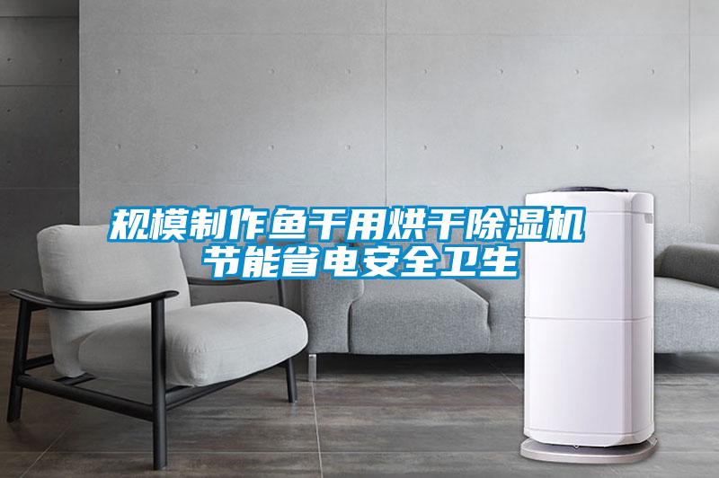 規模制作魚(yú)干用烘干除濕機 節能省電安全衛生