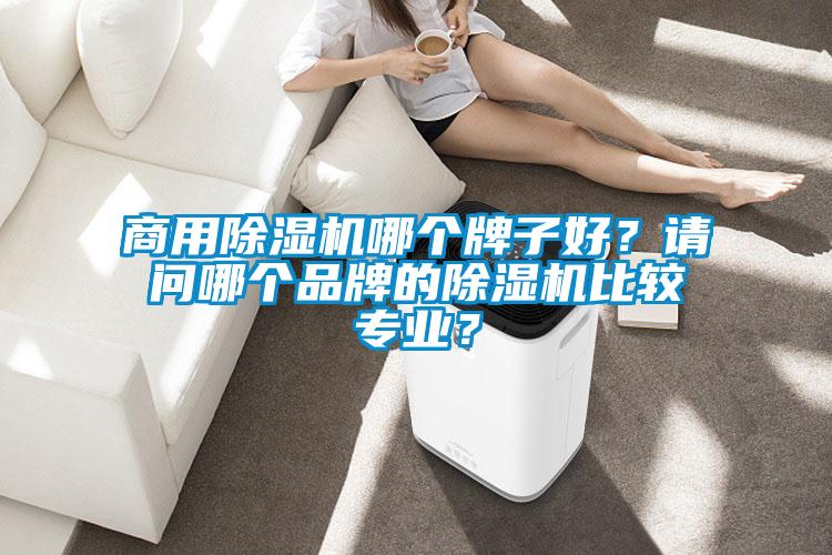 商用除濕機哪個(gè)牌子好？請問(wèn)哪個(gè)品牌的除濕機比較專(zhuān)業(yè)？