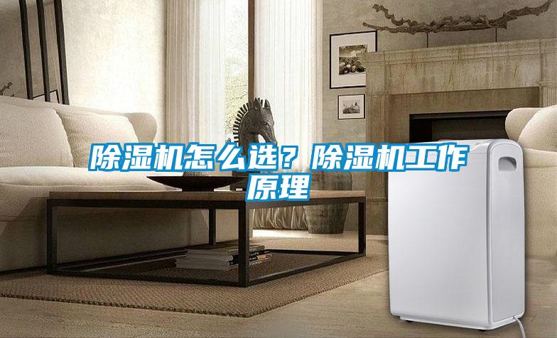 除濕機怎么選？除濕機工作原理