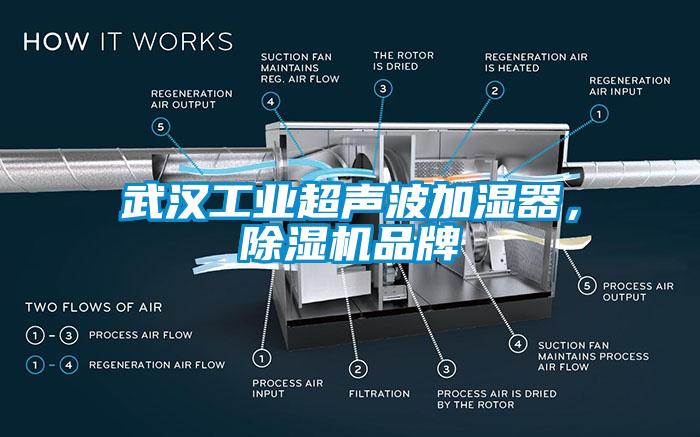 武漢工業(yè)超聲波加濕器，除濕機品牌