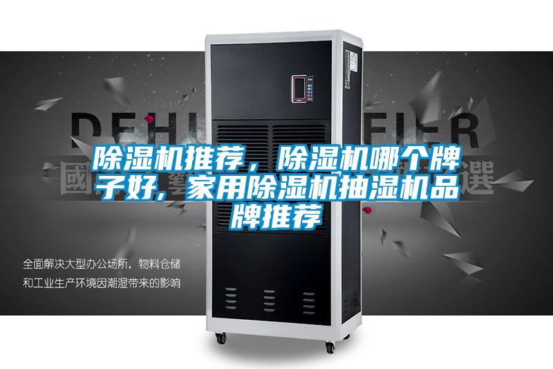除濕機推薦，除濕機哪個(gè)牌子好, 家用除濕機抽濕機品牌推薦