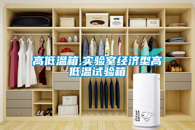 高低溫箱,實(shí)驗室經(jīng)濟型高低溫試驗箱