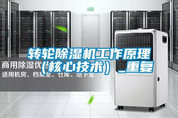 轉輪除濕機工作原理（核心技術(shù)）_重復
