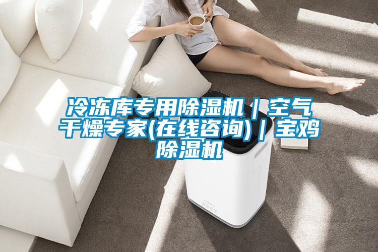 冷凍庫專(zhuān)用除濕機｜空氣干燥專(zhuān)家(在線(xiàn)咨詢(xún))｜寶雞除濕機