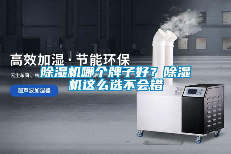 除濕機哪個(gè)牌子好？除濕機這么選不會(huì )錯